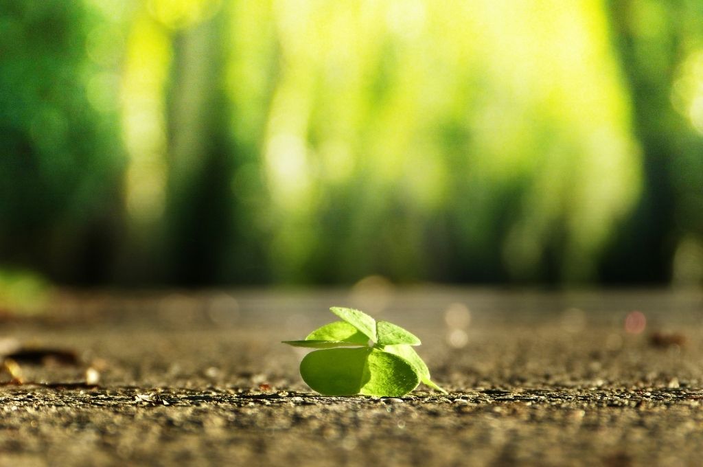 only 5 things you need to know about personal finance